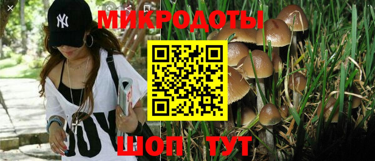 Псилоцибиновые грибы GOLDEN TEACHER  Вход с VPN  Тара 