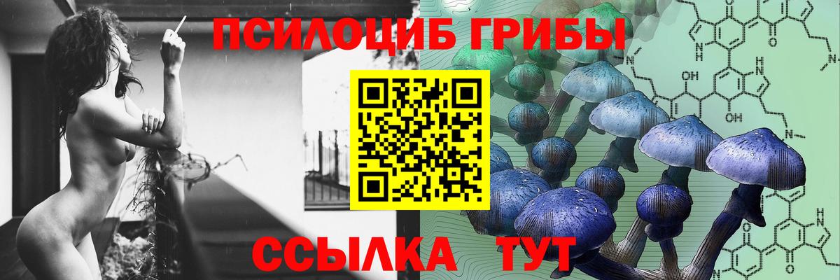 Псилоцибиновые грибы GOLDEN TEACHER Тара